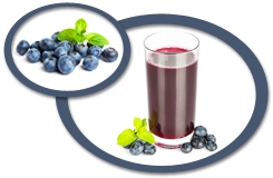 Blueberry Juice Concentrate USA