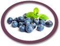 Blueberry Juice Concentrate USA