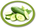 Cucumber Juice Concentrate USA