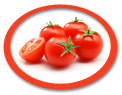 Tomato Paste USA